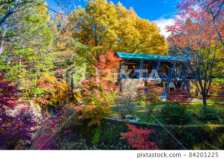 Autumn leaves of Karuizawa Autumn leaves of Karuizawa 84201225