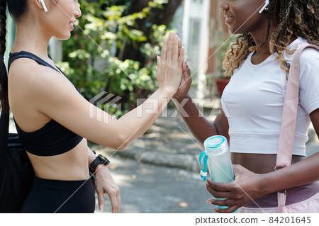 Sportswomen Giving High FIve Sportswomen Giving High FIve 84201645