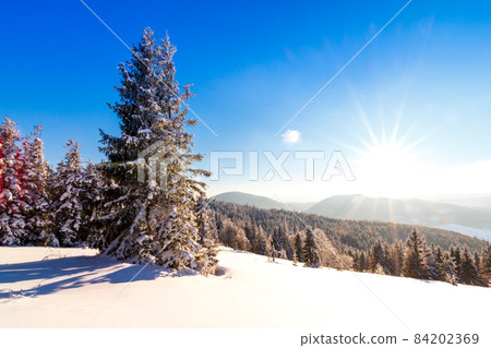 Winter trees in mountains covered with fresh snow 84202369