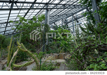 溫室景觀 84203919