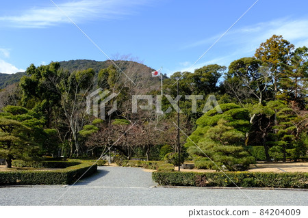 伊勢神宮飄揚的旗幟 84204009