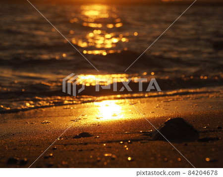 The golden shore The golden shore 84204678