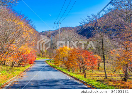 Fall of Mount Haruna Fall of Mount Haruna 84205181