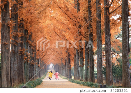 秋天的足跡,最美的道路! 秋天的足跡,最美的道路! 84205261