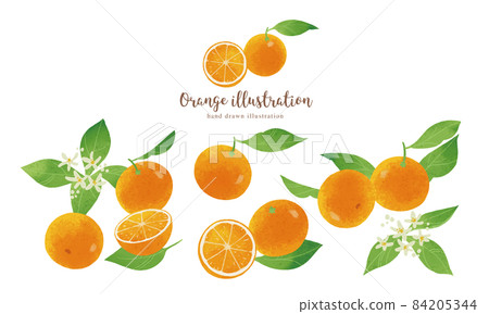 自然觸感橙色插畫/橫向佈局 自然觸感橙色插畫/橫向佈局 84205344