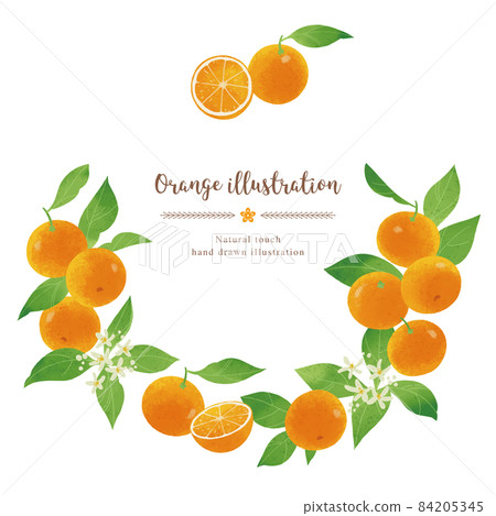 Orange illustration / circle with a natural touch 84205345