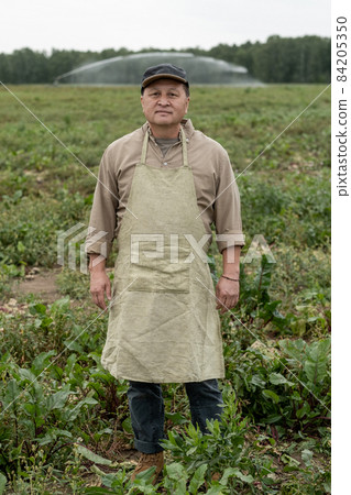 Full length portrait of content mature Asian farmer in apron and cap standing at vegetable plantation Full length portrait of content mature Asian farmer in apron and cap standing at vegetable plantation 84205350