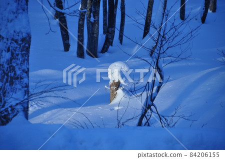 Snow sculpting like a dwarf Snow sculpting like a dwarf 84206155