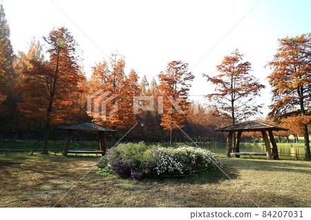 美麗的秋景,Meta-gil 美麗的秋景,Meta-gil 84207031