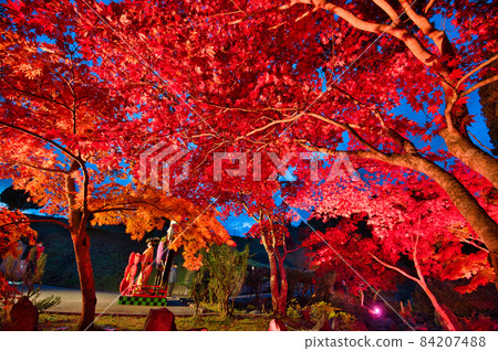 路邊車站南鄉的紅葉點亮 84207488