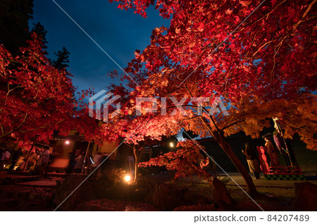 路邊車站南鄉的紅葉點亮 84207489