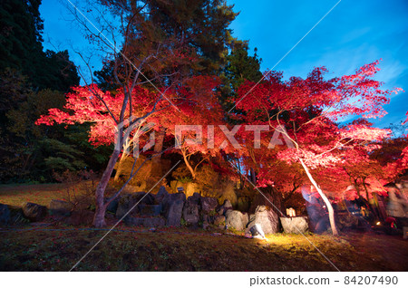 路邊車站南鄉的紅葉點亮 84207490