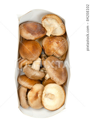 Fresh whole shiitake mushrooms, in a rectangular, elongated paper tray. Lentinula edodes, edible mushrooms, native to East Asia, also used in traditional medicine. Close-up, from above, over white. Fresh whole shiitake mushrooms, in a rectangular, elongated paper tray. Lentinula edodes, edible mushrooms, native to East Asia, also used in traditional medicine. Close-up, from above, over white. 84208102