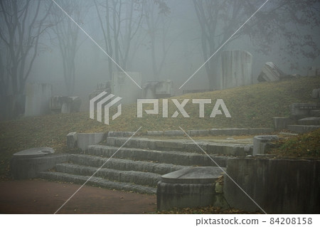 Beautiful road, morning fog road 84208158