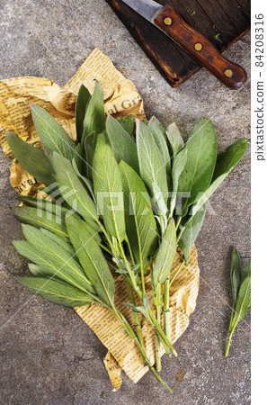 Fresh aromatic sage on old gray background 84208316