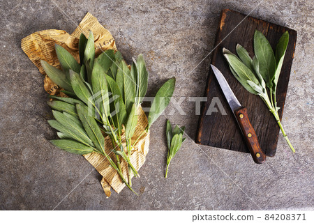 Fresh aromatic sage on old gray background 84208371