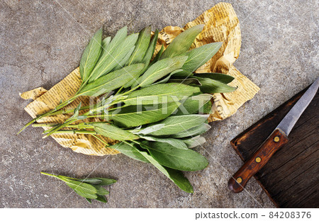 Fresh aromatic sage on old gray background 84208376