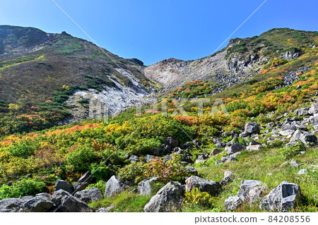 Kinshu Hakusan Flower Matsubara Kinshu Hakusan Flower Matsubara 84208556