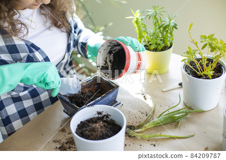 Planting flowers Planting flowers 84209787