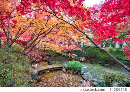 路邊車站南鄉秋色 84209838