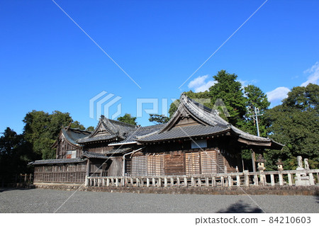 Mishima Shrine Mori Town - Stock Photo [84210603] - PIXTA