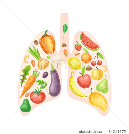 Anatomical lungs with fruit and vegerables. Healthy human internal organ vector illustration 84211375