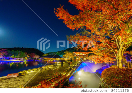 勝雄寺夜訪 2021 秋季 2 84211376