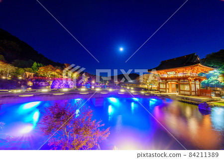 Katsuo-ji Night Visit 2021 Autumn 14 84211389