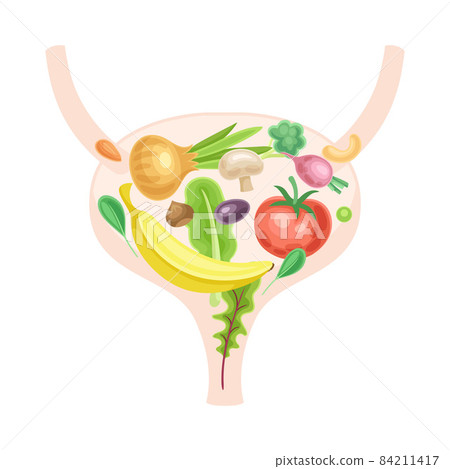Anatomical bladder with fruit and vegerables. Healthy human internal organ vector illustration 84211417