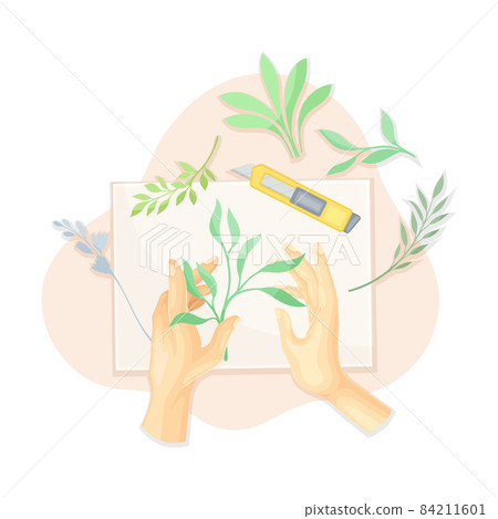 Hands creating herbarium from dried plants and flowers. Top view of creative work process, hobby and craft concept vector illustration 84211601