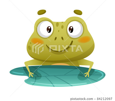 Cute funny frog floating in green leaf. Funny toad cartoon character sitting on lotus leaf in pond vector illustration Cute funny frog floating in green leaf. Funny toad cartoon character sitting on lotus leaf in pond vector illustration 84212097
