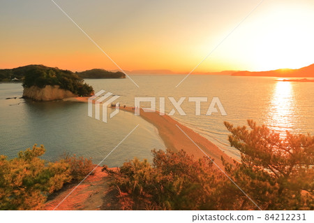 [Kagawa Prefecture] Twilight Angel Road (Shodoshima) 84212231