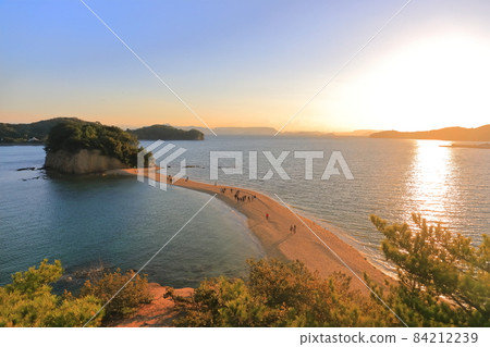 [Kagawa Prefecture] Twilight Angel Road (Shodoshima) 84212239