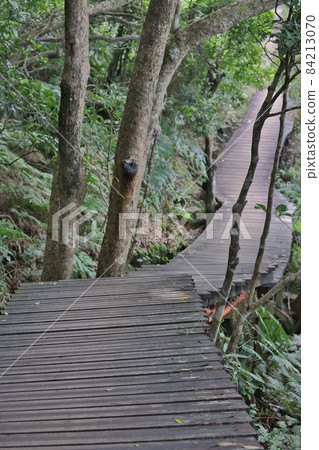 the landscape of the Ngong Ping Gallery Road 24 oct 2021 84213070