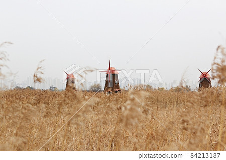 windmill windmill 84213187