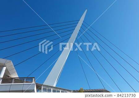 Teleport Bridge (in front of Tokyo Teleport Station on the Rinkai Line) 84213730