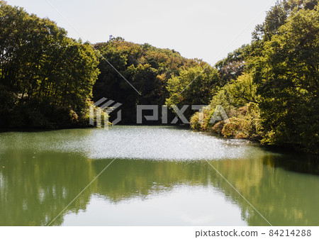 Tama Center Artificial Pond 84214288