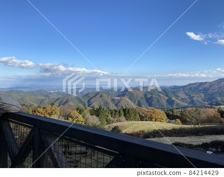 牧場的風景 84214429