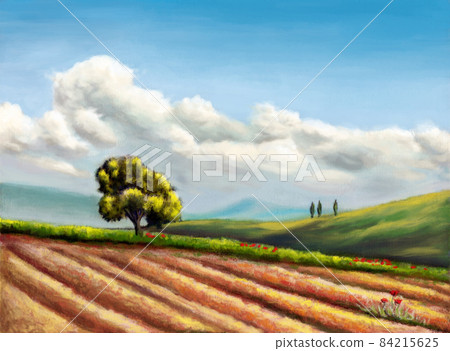 Rural landscape 84215625