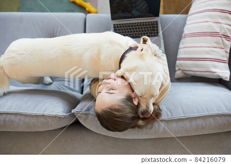 Dog Cuddling with Owner Top View 84216079