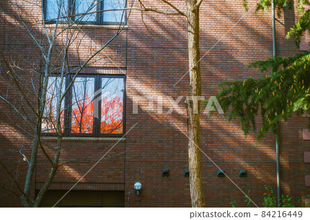 Late autumn scenery [Agatanomori Park] 84216449