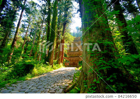 Haguroyama, Dewa Shrine, the divine Haguroyama Five-story Pagoda, Tohoku, Tsuruoka City, Yamagata Prefecture (11) Haguroyama, Dewa Shrine, the divine Haguroyama Five-story Pagoda, Tohoku, Tsuruoka City, Yamagata Prefecture (11) 84216650