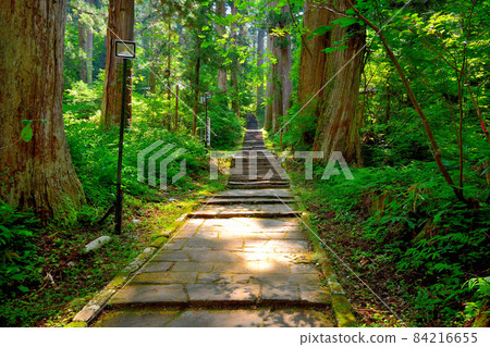 從山形縣東北部羽黑山、出羽神社、羽黑山五層塔所在的一坂入口向上看2446級石階(1) 84216655