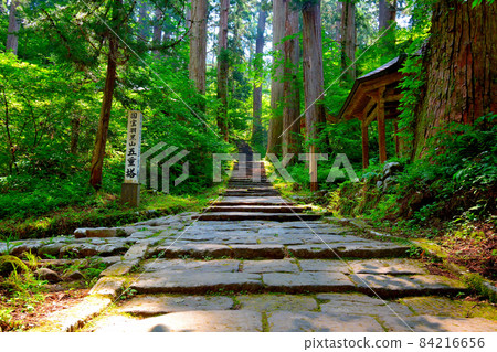 從山形縣東北部羽黑山、出羽神社、羽黑山五層塔所在的一坂入口向上看2446級石階(2) 從山形縣東北部羽黑山、出羽神社、羽黑山五層塔所在的一坂入口向上看2446級石階(2) 84216656