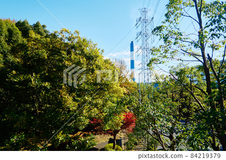 Autumn leaves of Fureai no Oka_No11 84219379