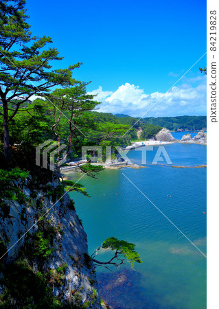 Jodogahama, Jodogahama seen from Odaiba Observatory, beautiful scenery like a miniature garden of the sea, Tohoku, Miyako City, Iwate Prefecture (7) Jodogahama, Jodogahama seen from Odaiba Observatory, beautiful scenery like a miniature garden of the sea, Tohoku, Miyako City, Iwate Prefecture (7) 84219828