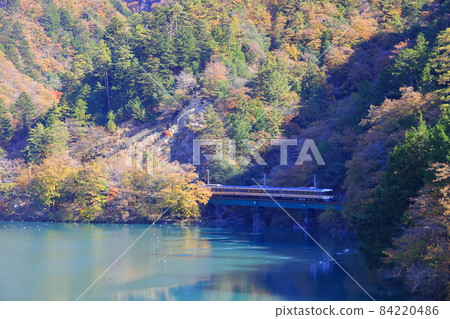秋色中的天龍川特急稻治 秋色中的天龍川特急稻治 84220486