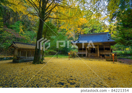 Autumn Ninooka Shrine Yellow Ginkgo Carpet Autumn Ninooka Shrine Yellow Ginkgo Carpet 84221354