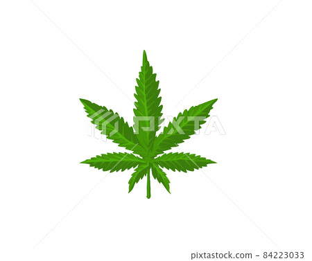 cannabis leaf vector logo design template 84223033