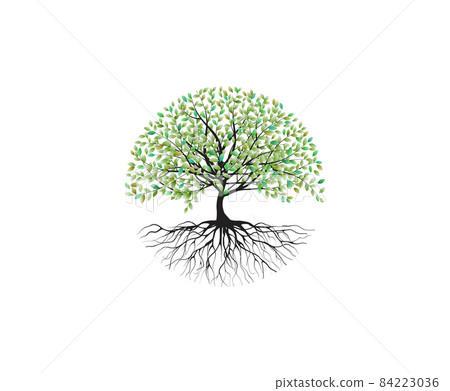 family tree vector image isolated 84223036